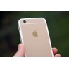 Bumper per iPhone 6 (4.7") Bianco + Interno Trasparente