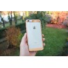 Custodia ChromFlex S per iPhone 6/6S Plus (5.5") - Bronzo