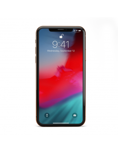 2x HyperGlass 3D PRO 0.3 - Vetro Temperato Totale per iPhone X/XS - Nero