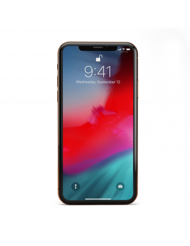 HyperGlass 3D PRO 0.3 - Vetro Temperato Totale per iPhone XS Max - Nero